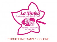 Etichette adesive per erboristerie, cosmetica, cosmesi (mm 41X40)  (cod.30M )